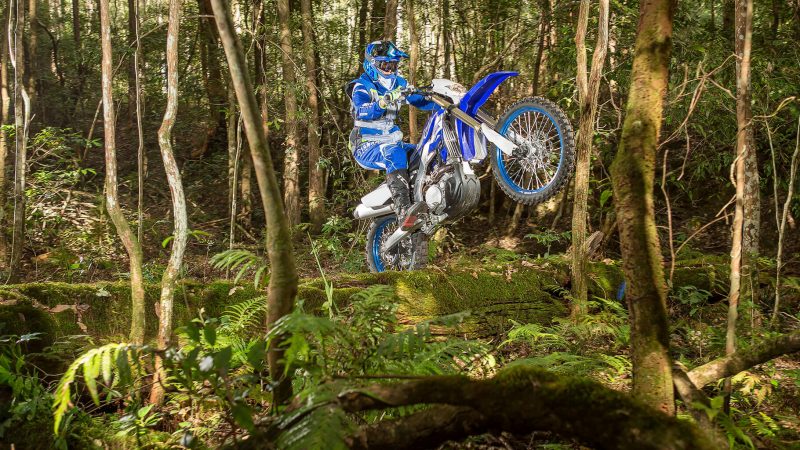 2019_yam_wr450f_eu_dpbse_act_002-61925