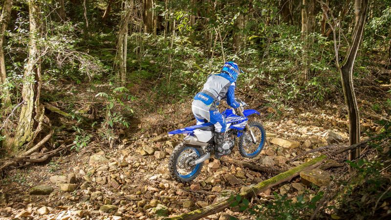2019_yam_wr450f_eu_dpbse_act_003-61926