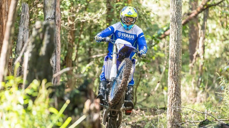 2019_yam_wr450f_eu_dpbse_act_009-61932