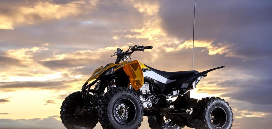 yfz450r-se (15)