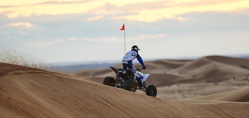 yfz450r-se (3)